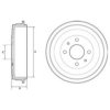 DELPHI BF528 Brake Drum